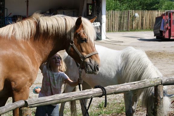 Kinderparadies Herbstbauernhof