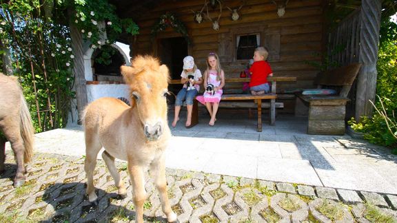 Impressionen Herbstbauernhof im Chiemgau