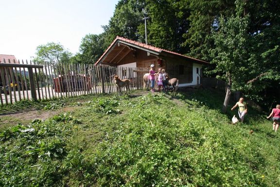 Kinderparadies Herbstbauernhof