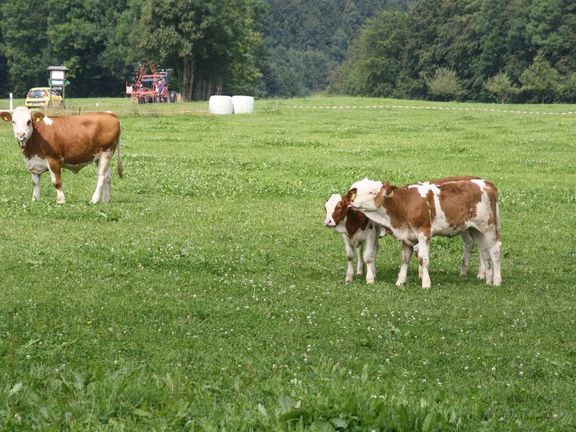 Herbstbauernhof