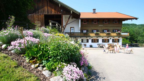 Impressionen Herbstbauernhof im Chiemgau