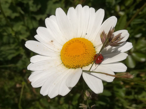 Herbstbauernhof